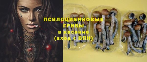 стафф Сосновоборск