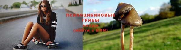 соль ск Сосновый Бор