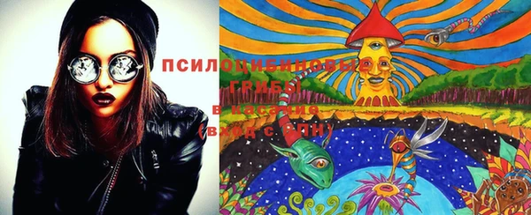 стафф Сосновоборск