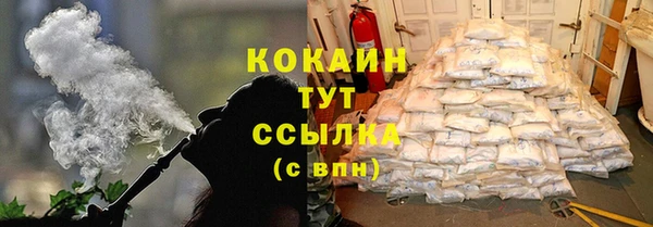 соль ск Сосновый Бор