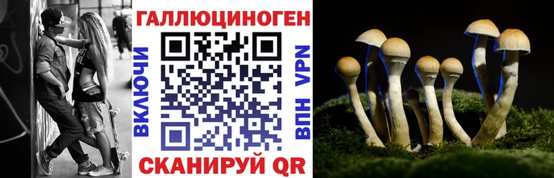 купить наркоту  Северобайкальск  Галлюциногенные грибы MAGIC MUSHROOMS 