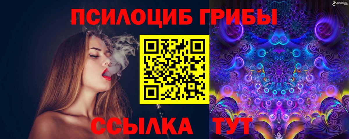 Псилоцибиновые грибы прущие грибы  Вход с VPN  Северобайкальск 