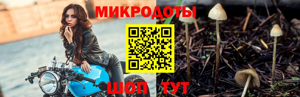 Псилоцибиновые грибы GOLDEN TEACHER Северобайкальск